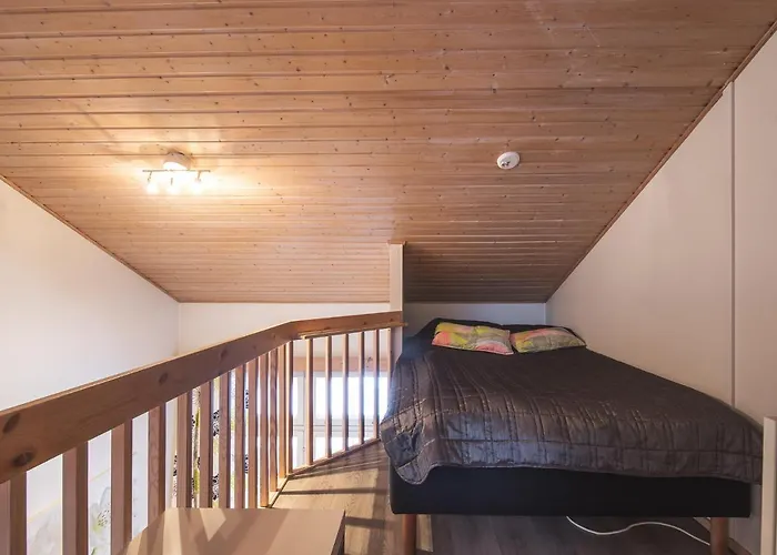 Daire Tintintaival *