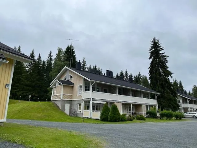 Daire Tintintaival *